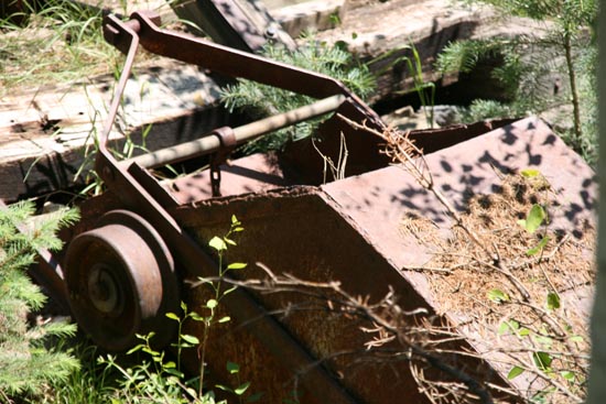2008 White Family Reunion at Big Rock Candy Mountain, Utah